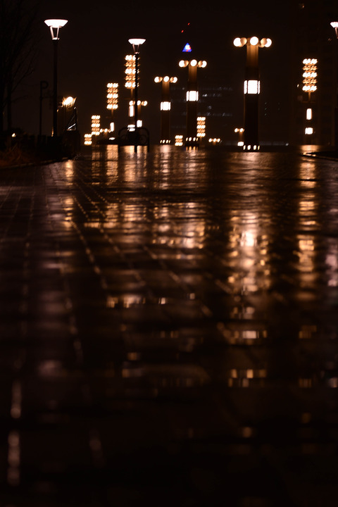 DSC_2260