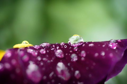 DSC_7643-Edit