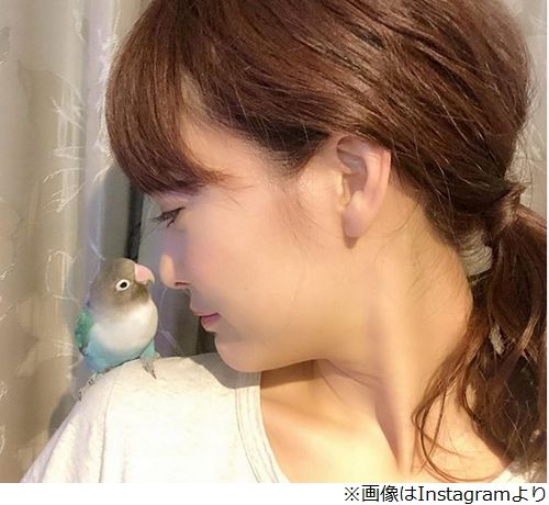 新井恵理那の横顔ｗｗｗｗ ニュー速2ch