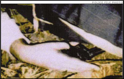 Vincent Foster dead