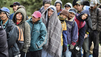 Hispanic Illegal Aliens 4