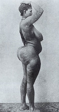 Hottentot 1