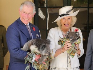 Prince Charles 1