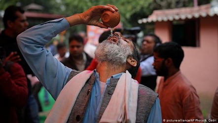 Hindus Cow piss 1