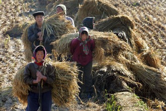Korean north 7