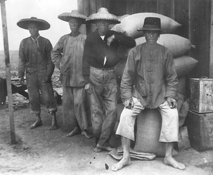 Chinese Immigrants 43