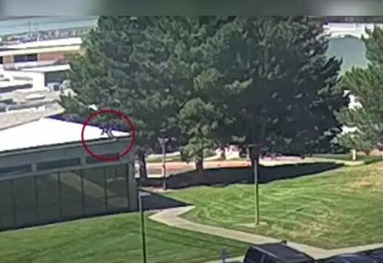 Tyler Robinson escape 1