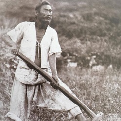 Koreans 3