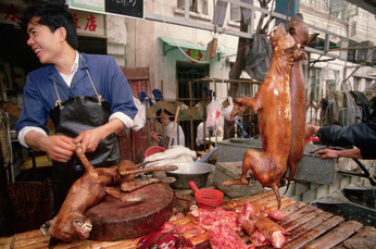 Chinese dog meat 2