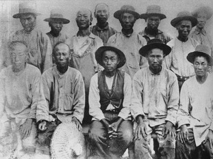 Chinese Immigrants 1