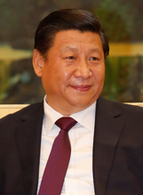 Chinese shu