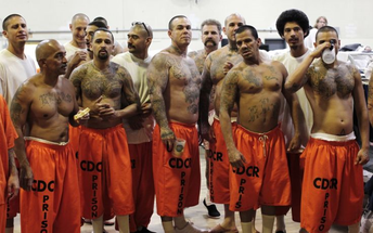 Black Guerrilla Family 1