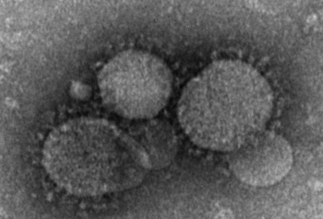 China Coronavirus 6