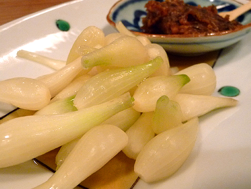 G3屋b3屋 じいさんやばあさんや 道頓堀 居酒屋 8 8 3 あしたも飲むねん 大阪 G3屋b3屋 じいさんやばあさんや 道頓堀 居酒屋 8 8 3 あしたも飲むねん 大阪