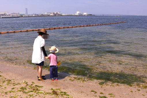 二色の浜海水浴場で潮干狩り 5 30 あしたも飲むねん 大阪