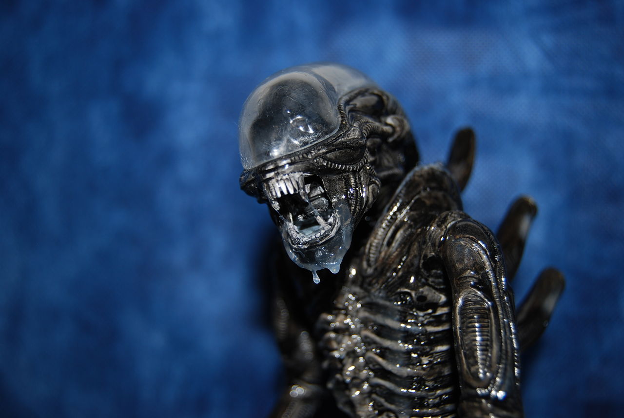 mpc エイリアン 2013年再販版（貴重） mpc エイリアン 2013年再販版（貴重） プラモデル :: キャラクター