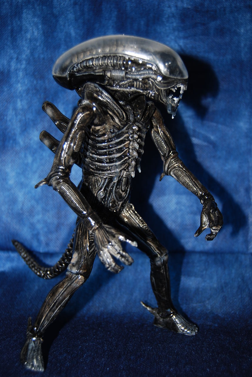 エイリアン　mpc　1-1961 3F5 未組立 プラモデル MPC ALIEN エイリアン 1-1961  | △☆MPC