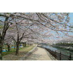 78d2f6a3.jpg