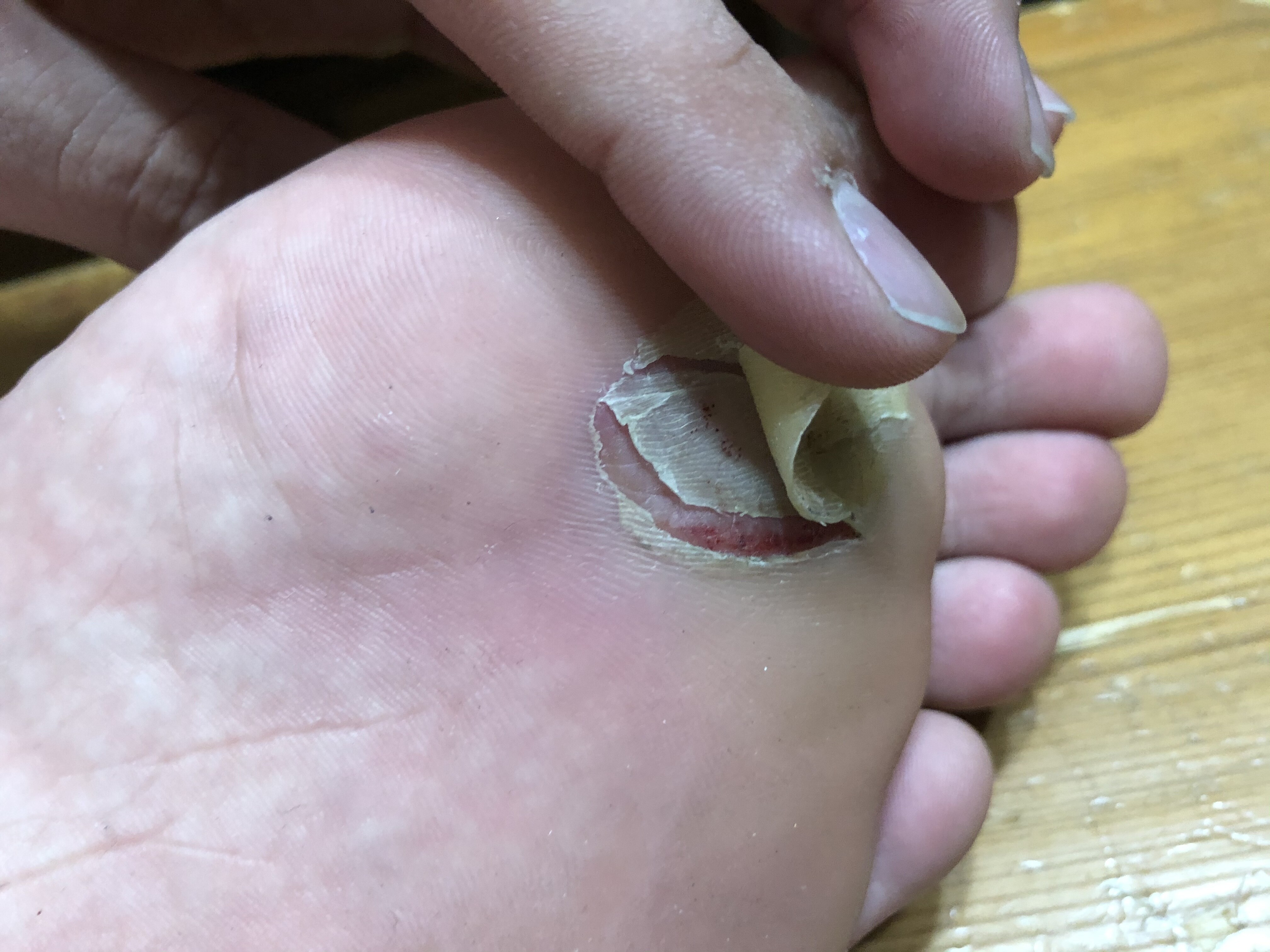 ラストスパート 関東黒鱒會blog 黒鱒回遊日記 Real