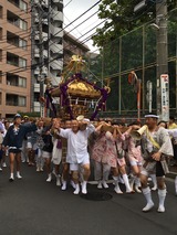 8b51a7a5.jpg