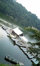 a08fdd1a.jpg