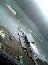 a77203cf.jpg