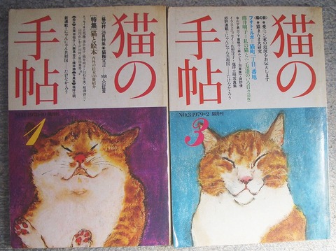 猫1