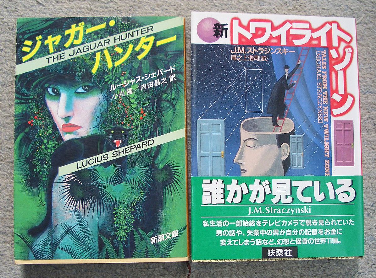 吸血鬼幻想 スティーヴン キング短編傑作全集 sfエロチックミステリ 砂楼に登りし者たち他 くろねこ通信 吸血鬼幻想 スティーヴン キング短編傑作全集 sfエロチックミステリ 砂楼に登りし者たち他 くろねこ通信