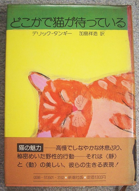 どこかで猫が待っている1