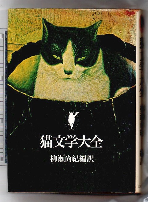 猫文学