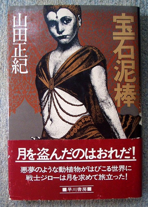 宝石泥棒1