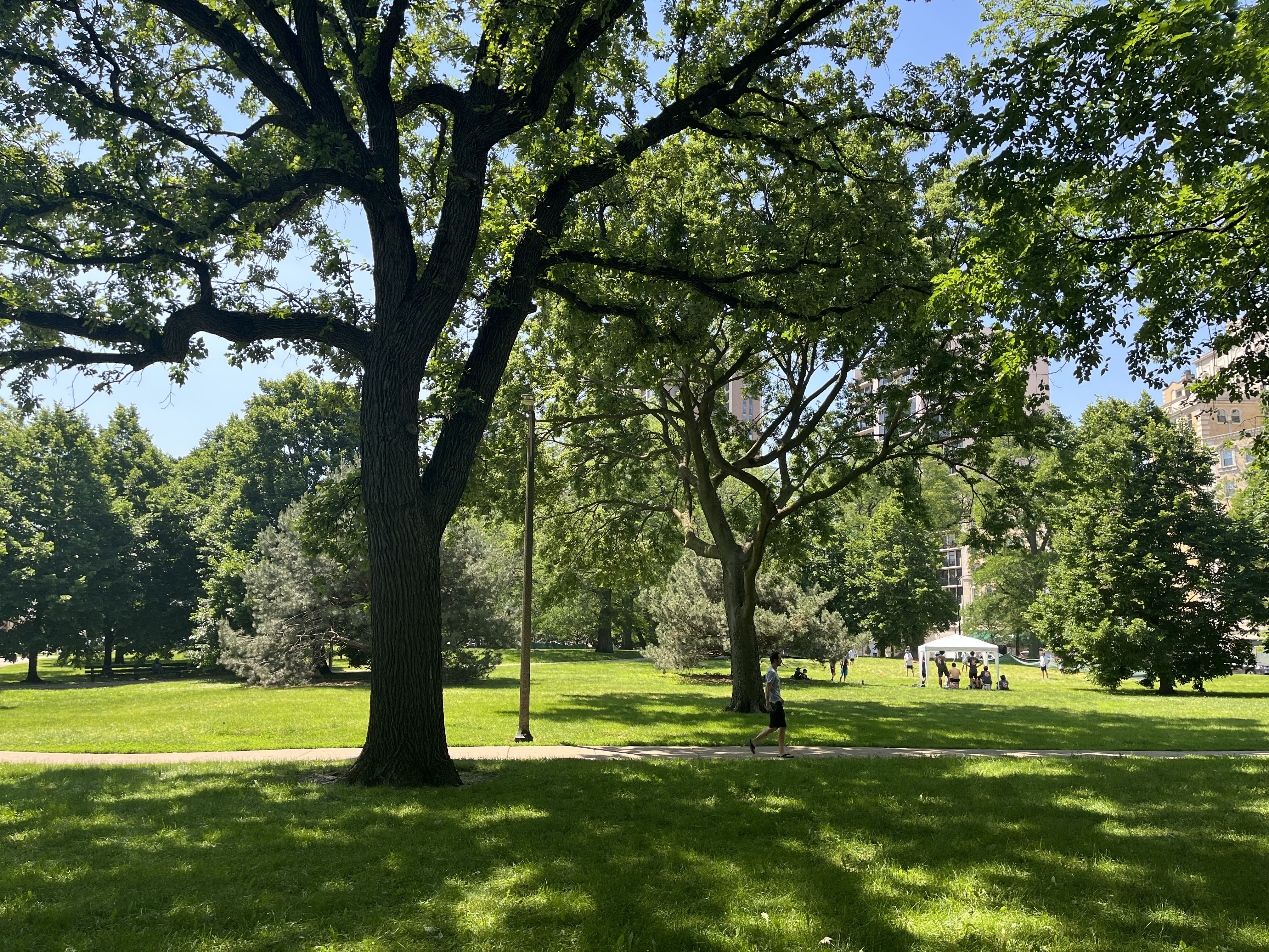 まとめ シカゴでの父親ワンオペ子育て体験 休日編 イリノイ工科大学デザインスクール Mdm 22 留学日記