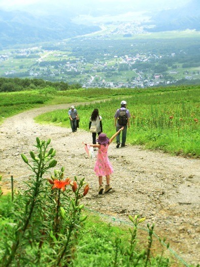 白馬岩岳のゆり園と人面魚 カフヱー花園 白馬岩岳のゆり園と人面魚 カフヱー花園