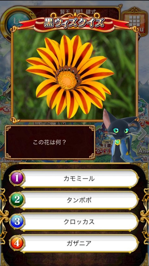 22ガザニア