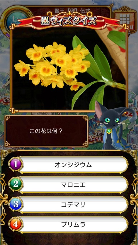 まとめサイト公開中 黒ウィズクイズ 問題と解答まとめ 画像付き 黒猫のウィズを無課金でまったりと 黒ウィズ攻略 ブログ