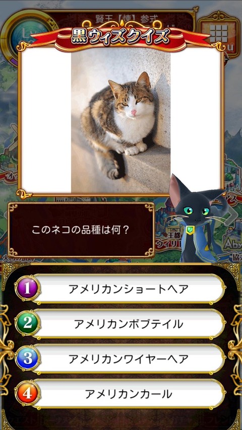 まとめサイト公開中 黒ウィズクイズ 問題と解答まとめ 画像付き 黒猫のウィズを無課金でまったりと 黒ウィズ攻略 ブログ まとめサイト公開中 黒ウィズクイズ 問題と解答まとめ 画像付き 黒猫のウィズを無課金でまったりと 黒ウィズ攻略 ブログ
