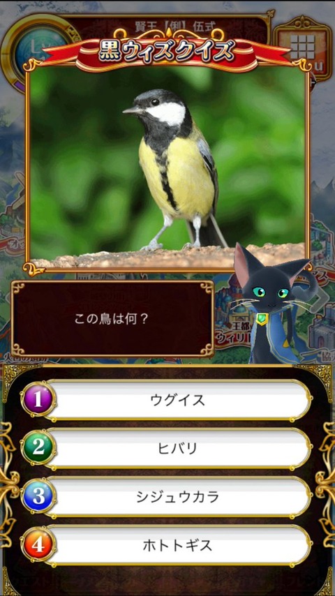 31シジュウカラ