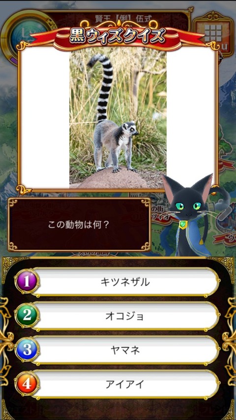 23_キツネザル