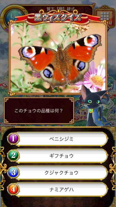 35クジャクチョウ