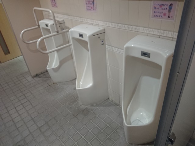 Daiki 東バイパス店 旧 ホームセンターサンコー トイレ取材日記