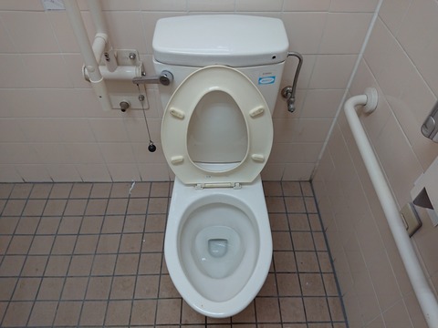 ホームセンター トイレ取材日記