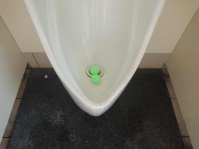 ダイレックス 高森店 トイレ取材日記