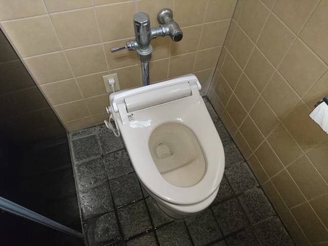 本日のまとめ。珍カラー。 : トイレ取材日記