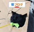 にほんブログ村 猫ブログへ