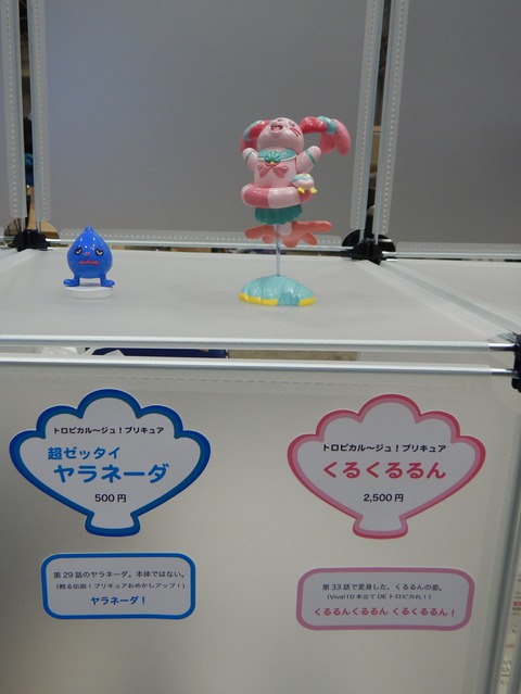 DSCN19292