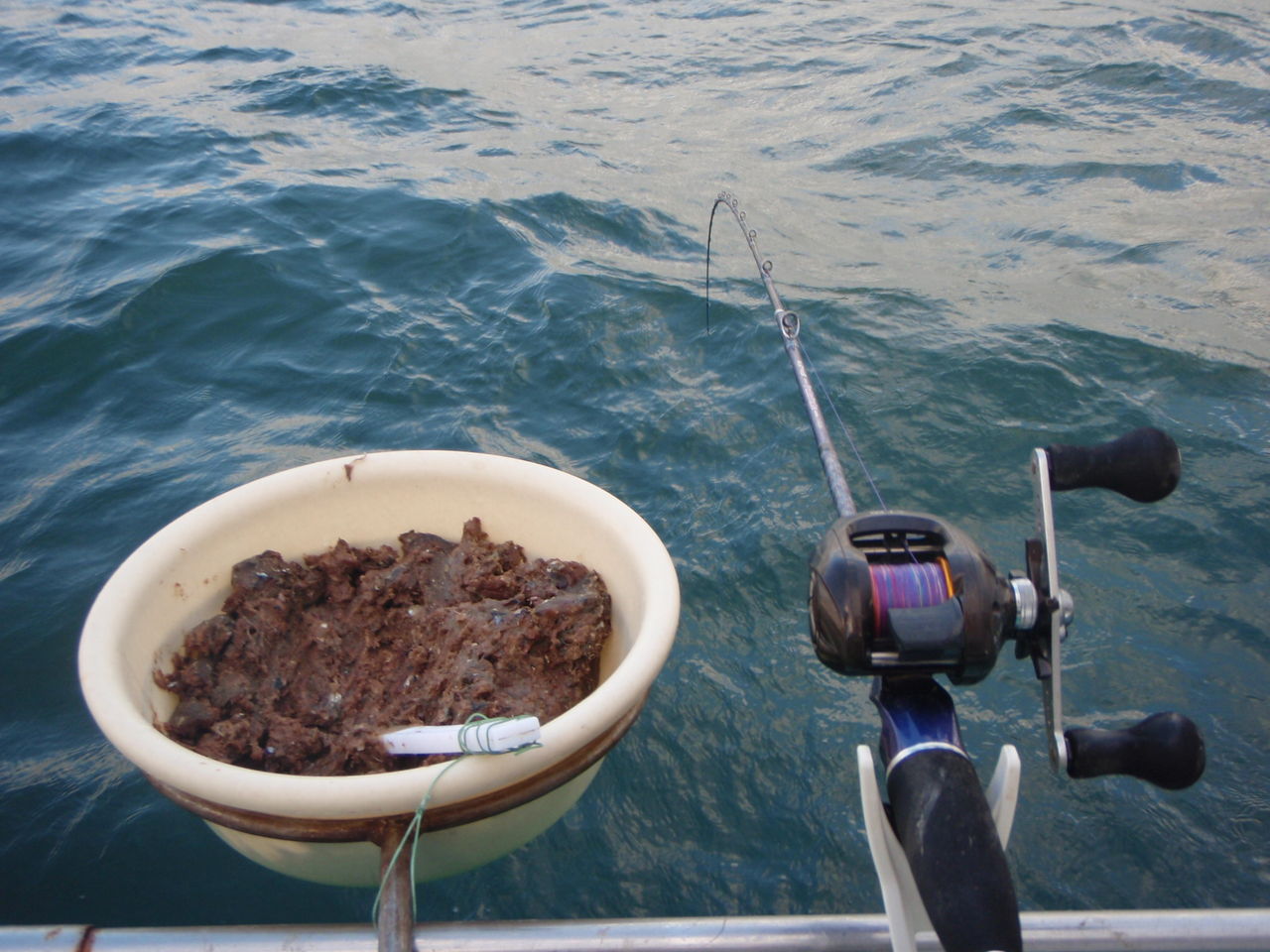 釣り納めへ ライトアジ 長浦 こなや丸 15 12 30 黒猫の釣り逃亡記