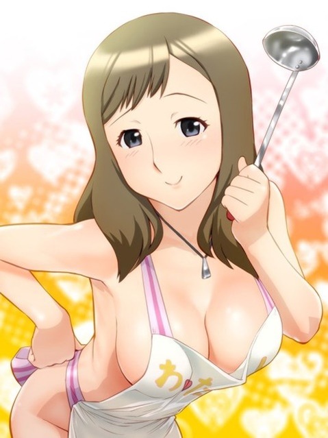 裸エプロンがエロくて仕方ない二次エロ画像④　25枚 11