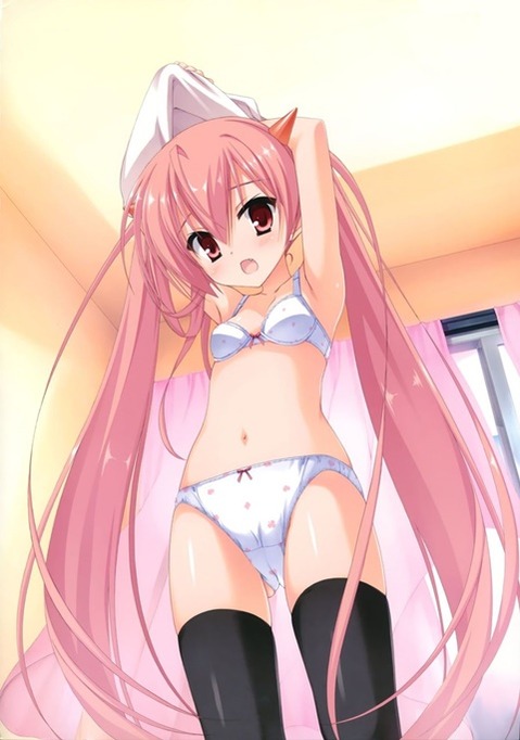 ニーソ・ニーハイを履いた女の子の二次エロ画像②　100枚 29