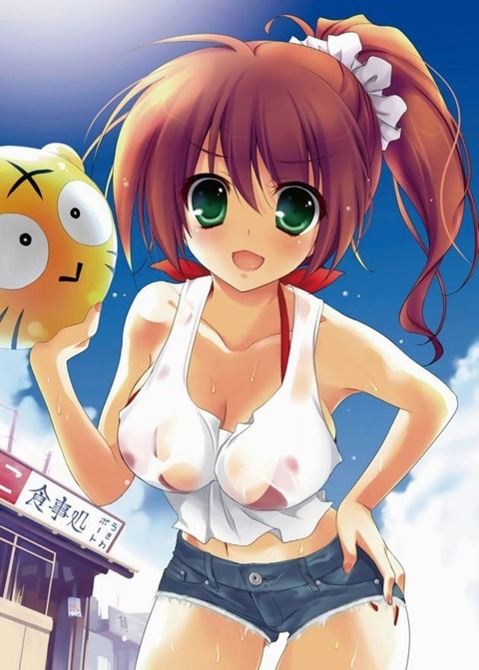 ポニーテールが可愛い女の子の二次エロ画像⑬　25枚 21