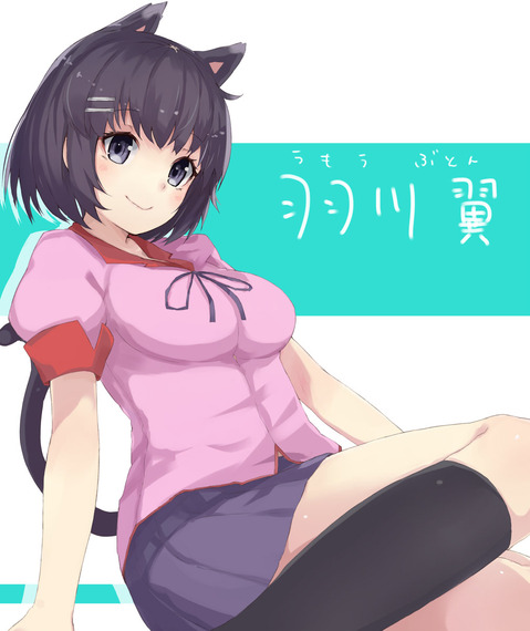 【物語シリーズ】羽川翼の二次エロ画像①　100枚 67